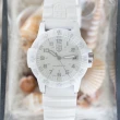 【LUMINOX 雷明時】SEA TURTLE 0300海龜系列腕錶 瑞士錶(白x灰時標39mm)