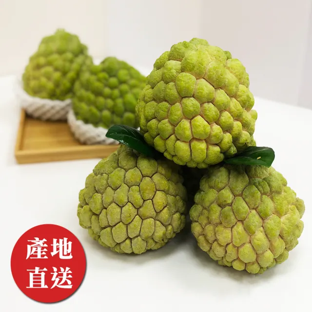 【金好迦】嚴選台東大目釋迦 A級果 5斤x2箱(5-6顆/箱)