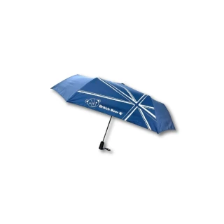 【興雲網購】英國熊自動開收摺疊傘-藍/粉(自動雨傘 太陽傘 雨具)