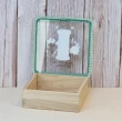 【YU Living 信歐傢居】蕾絲邊針線捲造型玻璃蓋收納盒(原木色+淺綠色/針線飾品盒.單層收納盒)