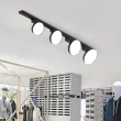 【光之饗宴】LED 20W軌道燈(泛光型)
