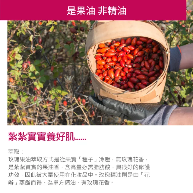 【Repavar 芮培菈】100%純玫瑰果油 15ml(乾敏肌救星 / 醫師專業推薦)