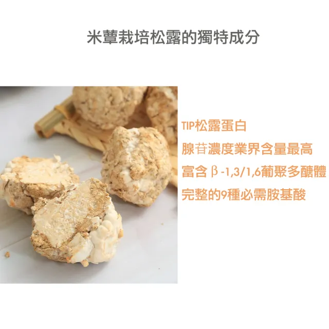 【U-LEAD 優力 平穩茶包】TIP松露蛋白 X 苦瓜胜肽