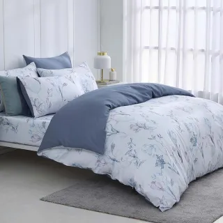 【HongYew 鴻宇】300織美國棉 薄被套床包組-卡德爾(雙人)