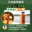 【蘇班長安心石斑】龍虎石斑鮮魚切塊300g 3入組(歐盟食安標準 得獎最多的石斑)