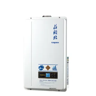 【莊頭北】13公升強制排氣熱水器(TH-7138FE基本安裝)