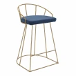 【E-home】快速 二入組 Sigrid希格莉德絨布金框網美吧檯椅-坐高66cm-四色可選(高腳椅 網美 工業風)
