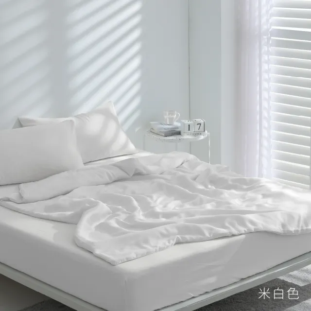 【AnD HOUSE 安庭家居】天絲40支-單人床包枕套組-50%萊賽爾纖維(多色任選/透氣柔滑/夏天)