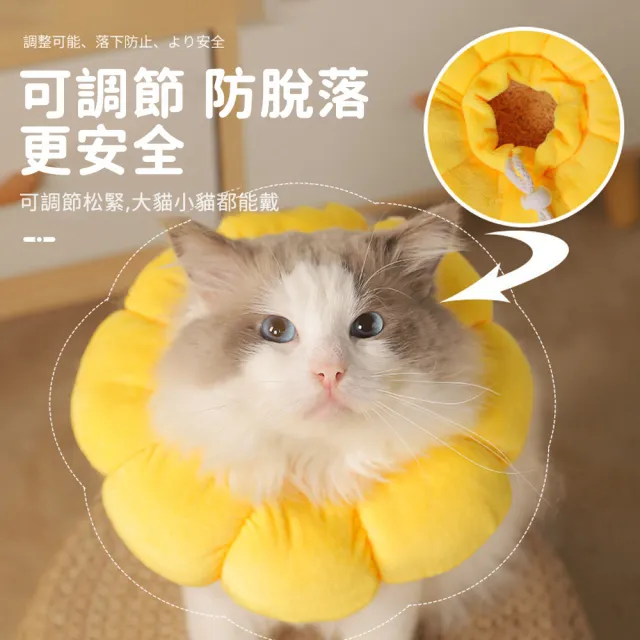 【OMG】太陽花貓咪伊麗莎白圈 貓咪項圈 絕育恥辱圈 防舔防抓頭套