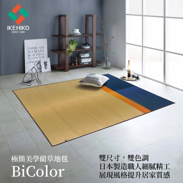 IKEHIKOIKEHIKO 藺草地毯 BiColor 豐彩 191×191cm 幾何色塊摩登風格