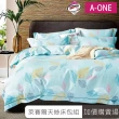 【A-ONE】台灣製 吸濕排汗天絲枕套床包組(單人/雙人/加大 均一價 多款任選)
