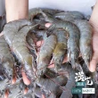 【漢克嚴選】純淨天然野放巨大白蝦霸2盒(500g/1包/約8至10尾)