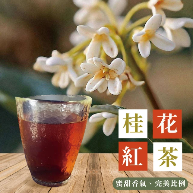 TWG Tea 環球啟程 手工純棉茶包 15包x5盒(專屬賣