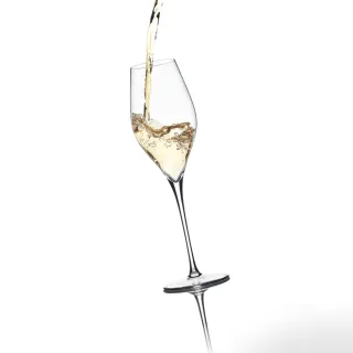 【RONA】斯洛伐克 SWAN天鵝系列-香檳杯 320ml/1入