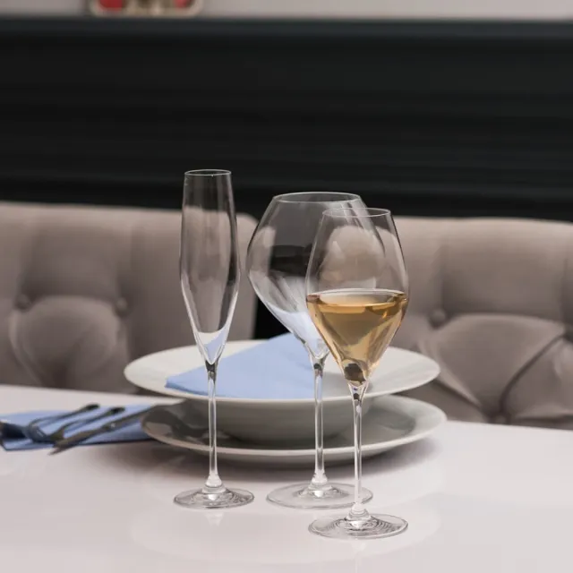【RONA】斯洛伐克 SWAN天鵝系列-香檳杯 320ml/1入