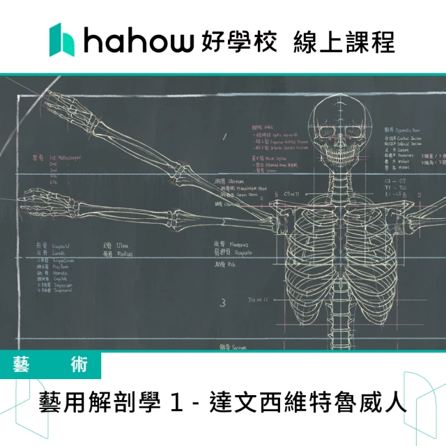 Hahow 好學校 藝用解剖學 1 - 達文西維特魯威人