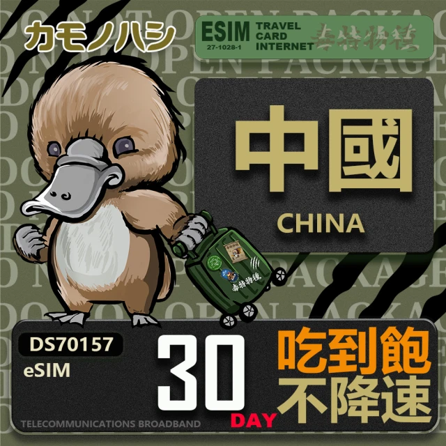 鴨嘴獸 旅遊網卡 美加eSIM 13日 吃到飽上網卡 旅遊卡