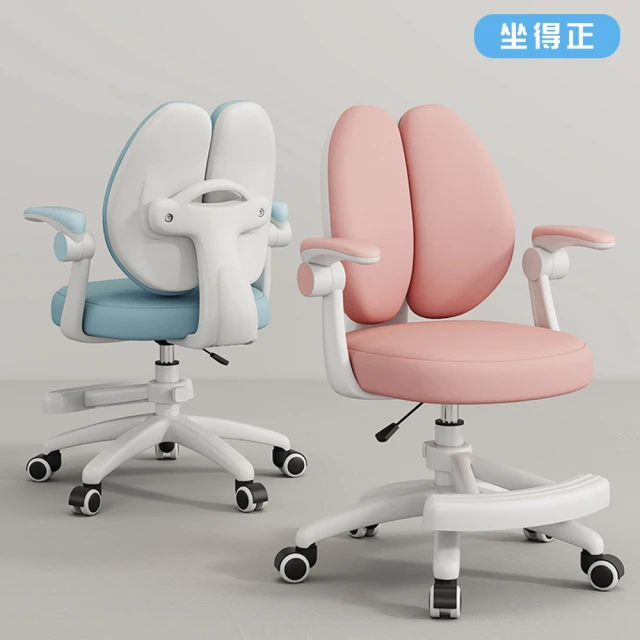 雙背人體工學椅