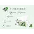 【GREEN LOTUS 綠荷】柔韌抽取式花紋衛生紙100抽X100包/箱x2