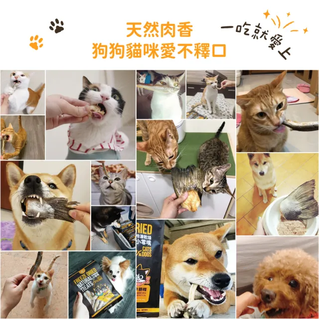 【汪喵星球】犬貓冷凍乾燥原肉零食－頂級骰子牛75g/罐(犬貓零食)