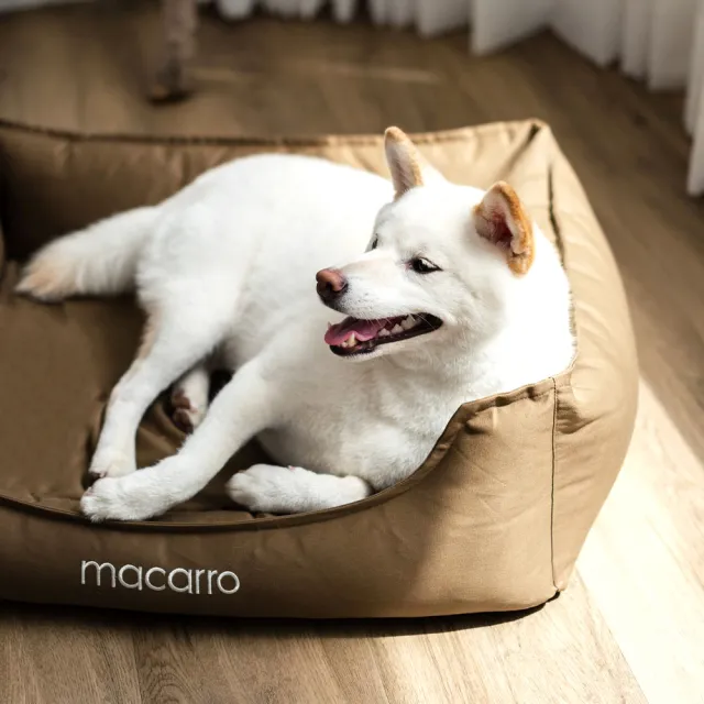 【macarro馬卡兒寵物】乳膠寵物床 M號-純棉款(三種顏色)