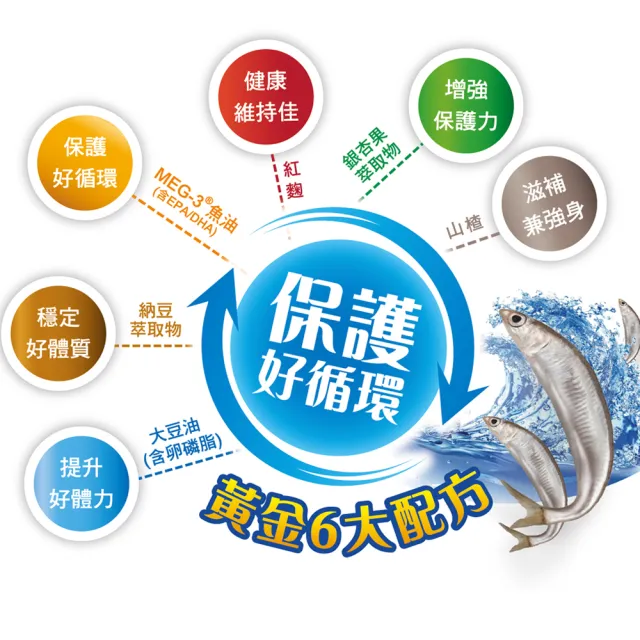【Shiteh 西德】寶正通☆ 軟膠囊-專利MEG-3魚油+銀杏果(60顆/盒)