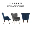 【E-home】Harlem哈琳布面拉扣扶手實木腳休閒椅-兩色可選(休閒椅 網美椅 主人椅)