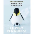 【MyBook】用超輕黏土製作可愛的大小企鵝：捏一捏、搓一搓，讓企鵝大軍包圍你的房間！(電子書)