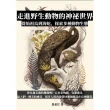 【MyBook】走進野生動物的神祕世界：從始祖鳥到海蛇，探索多種動物生態(電子書)