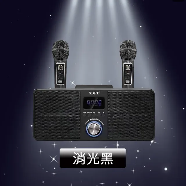 【DYD】SD309攜帶式藍牙音箱 贈防噴套(家庭KTV 無線藍牙音響 限量款)