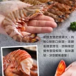 【享吃海鮮】澎湖活凍野生明蝦2盒(450g±5%/盒 斑節蝦 海大蝦 雷公蝦 大蝦)