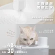 【PETKO】寵物飲水機(無線 充電 紫外線殺菌 馬達置頂)