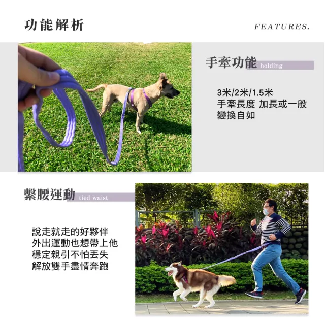 【VILA】25mm多功能3Q拉帶+束口洞洞袋(肩背牽繩 長牽繩 分牽繩 狗牽繩 寵物牽繩 牽繩 不刮手 三色)