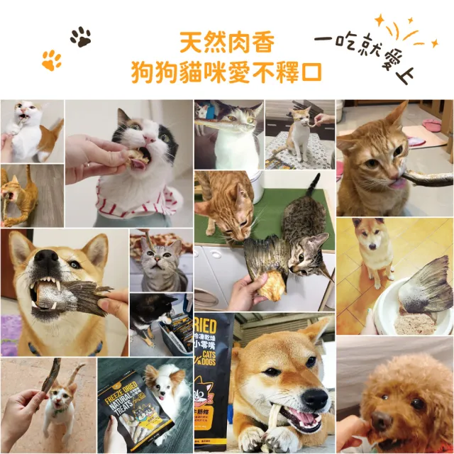 【汪喵星球】犬貓冷凍乾燥原肉零食2入組(犬貓零食)