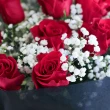【玉屋TAMAYA】厄瓜多進口紅玫瑰花束 18朵(鮮花 情人節 開幕升遷 發表會 生日祝賀 告白 紀念日 畢業祝福)