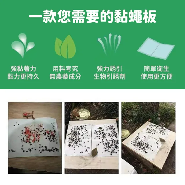 【沐日居家】黏蠅板 10張 捕蠅紙 誘蠅紙(黏蠅 果蠅 除蟲)
