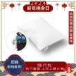 【DPillow】防蹣午睡枕、隨行枕頭(奈米氧化鋅纖維)