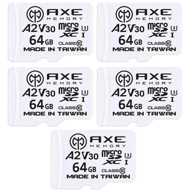 TRIDENITE MicroSDXC 64GB*10入 A