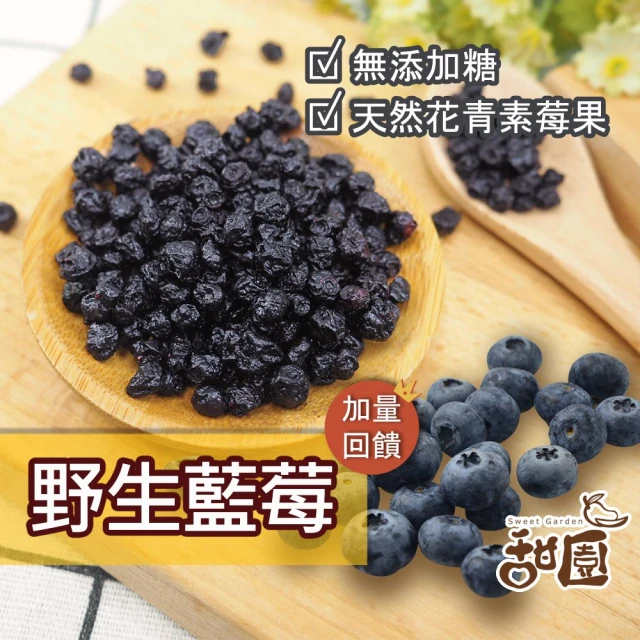 甜園 無糖野生藍莓 60gx1包(無添加物 天然水果乾 新鮮水果製成 低溫烘焙 保留原味)