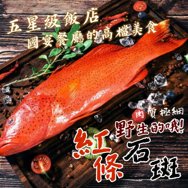 蘇班長 X 新港社合 富貴吉祥禮盒組(純海水養殖 全國最好吃