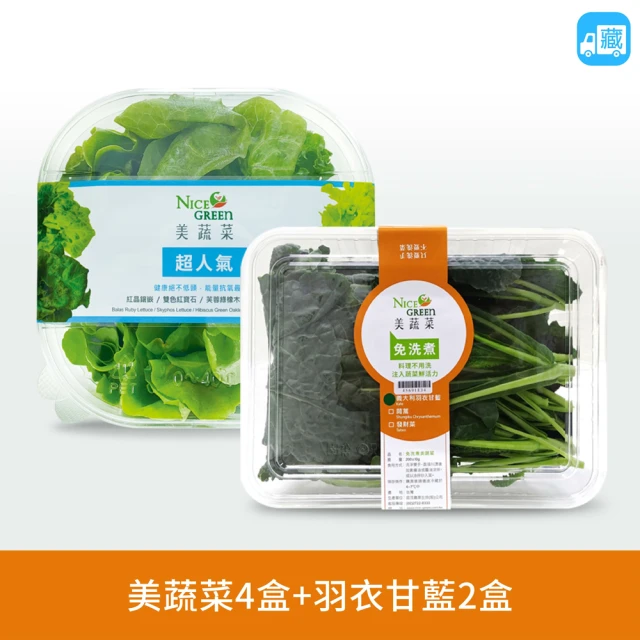 NICE GREEn 美蔬菜 美蔬菜4入+羽衣甘藍盒2入送4