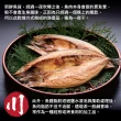 【小川漁屋】挪威鯖魚一夜干12片(250g±10%/片純重無紙板)
