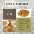 【High Tea】黃金蕎麥茶6gx15入x5袋(100%台灣韃靼種黃金蕎麥)