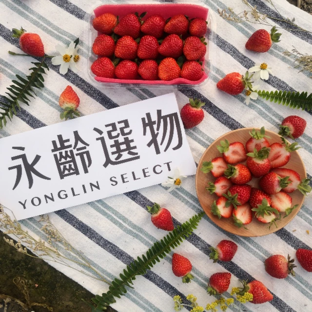 YONGLIN SELECT 永齡選物 牛奶草莓禮盒-4盒裝(180g/盒*4)