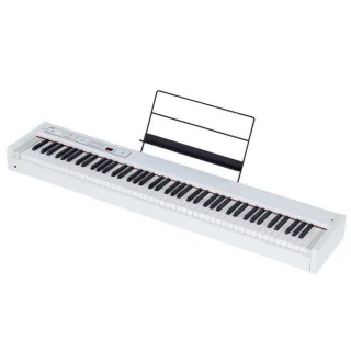 【KORG】D1(88鍵 琴鍵可攜帶式 電鋼琴（含譜架、踏板）)