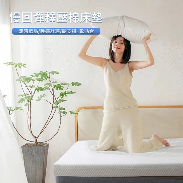 涼感記憶床墊 標準雙人 10公分厚度(大和防蟎布套 防螨抗菌
