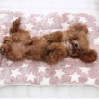 【QIDINA】寵物柔軟法蘭絨保暖寵物墊 S；M(寵物睡墊 寵物窩 寵物毯 寵物睡窩 貓咪床)