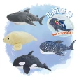 水族館海洋生物筆袋 毛絨鉛筆盒(日本進口 大容量毛絨筆袋 新年禮物 福袋)