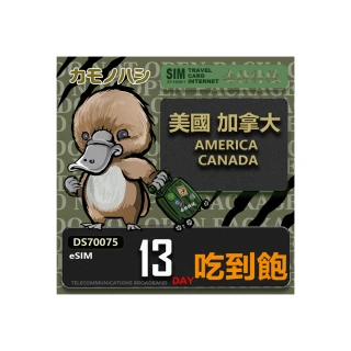 【鴨嘴獸 旅遊網卡】美加eSIM 13日 吃到飽上網卡  旅遊卡(美國 加拿大 上網卡)