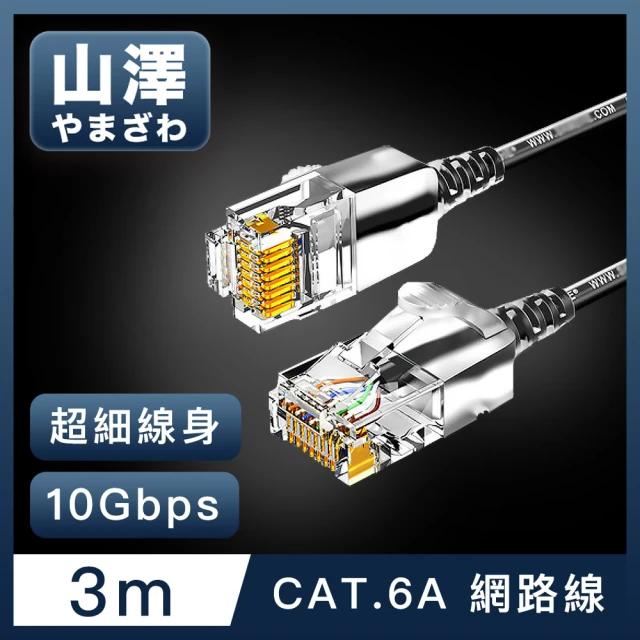 【山澤】Cat.6A 10Gbps超高速傳輸八芯雙絞鍍金芯極細網路線 黑/3M